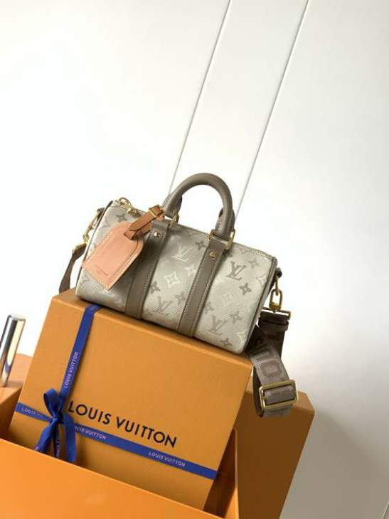 Picture of Louis Vuitton Handbags _SKUfw238075072fw